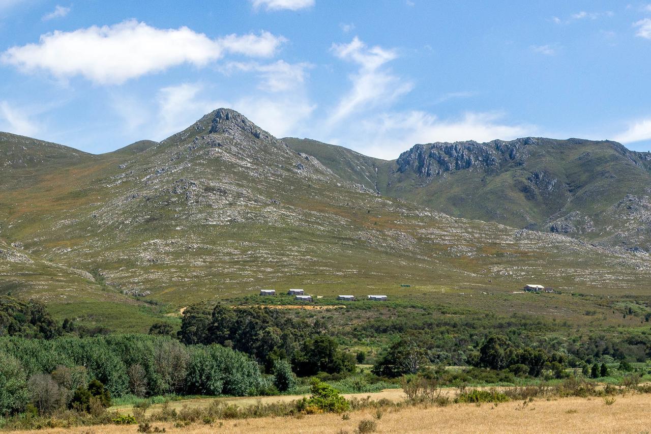 Phillipskop Mountain Reserve 스탠포드 외부 사진