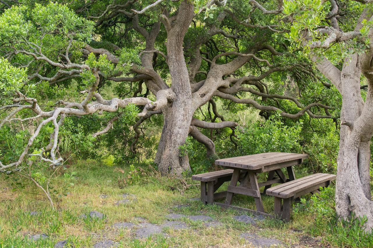 Phillipskop Mountain Reserve 스탠포드 외부 사진