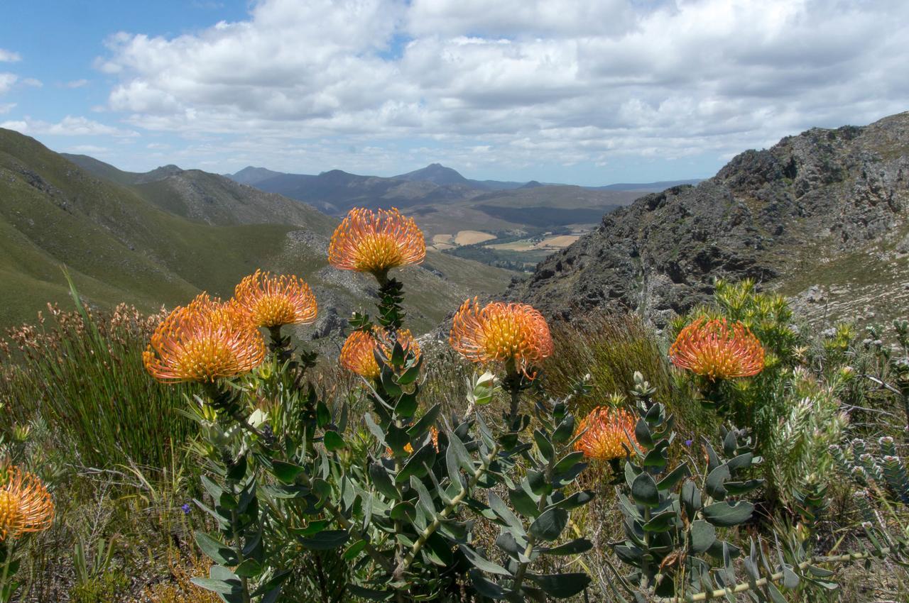 Phillipskop Mountain Reserve 스탠포드 외부 사진